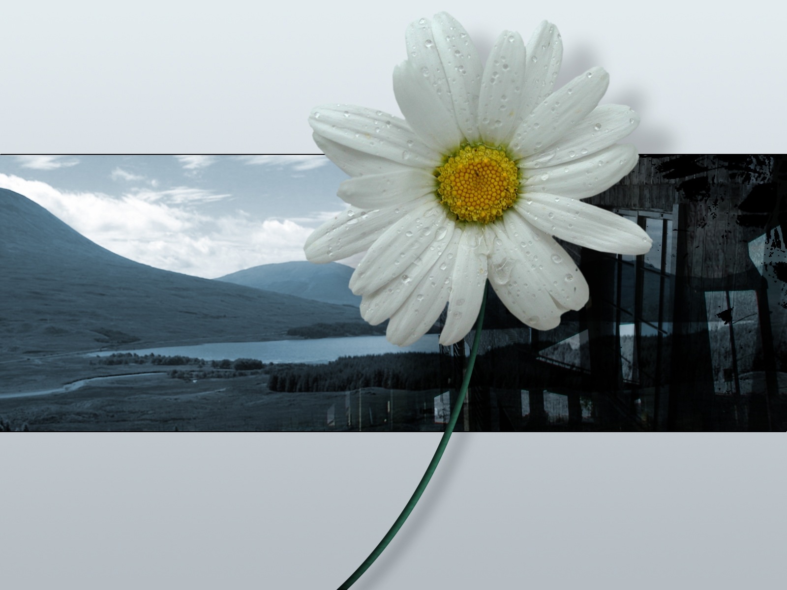 4359236389_7da6b11ac5_o